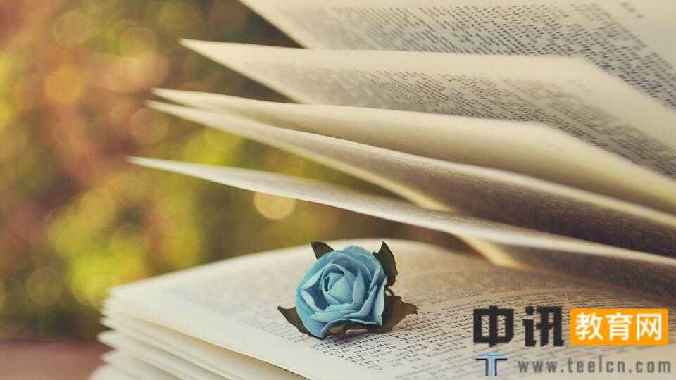 2019年山东自考专科的专业和学校有哪些？
