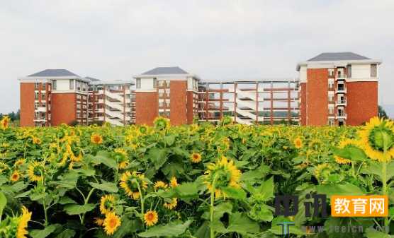 2019年淮北师范大学优势重点专业排名,淮北师范大学专业排名及分数线
